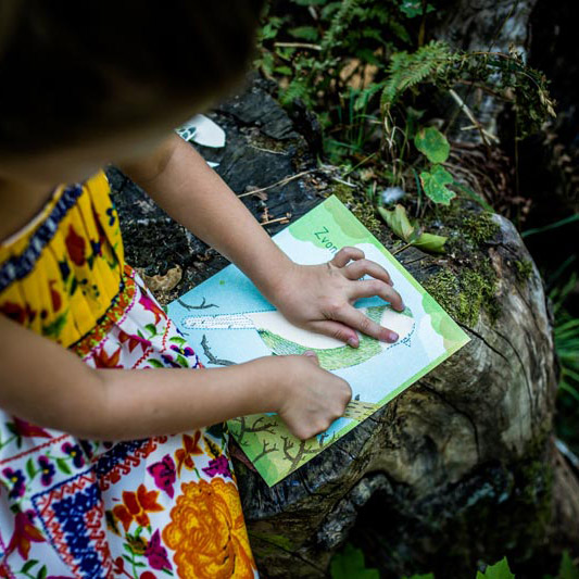Notebook MEET THE BIRDS | PIPASIK