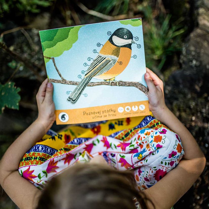 Notebook MEET THE BIRDS | PIPASIK