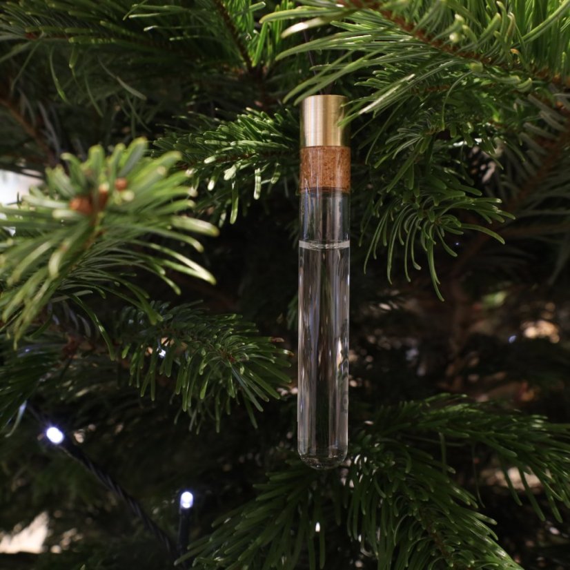 Gift AMPOULE | deelive