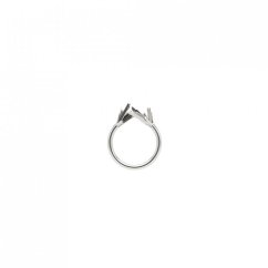 Ring AGAVE | BLUEBERRIES